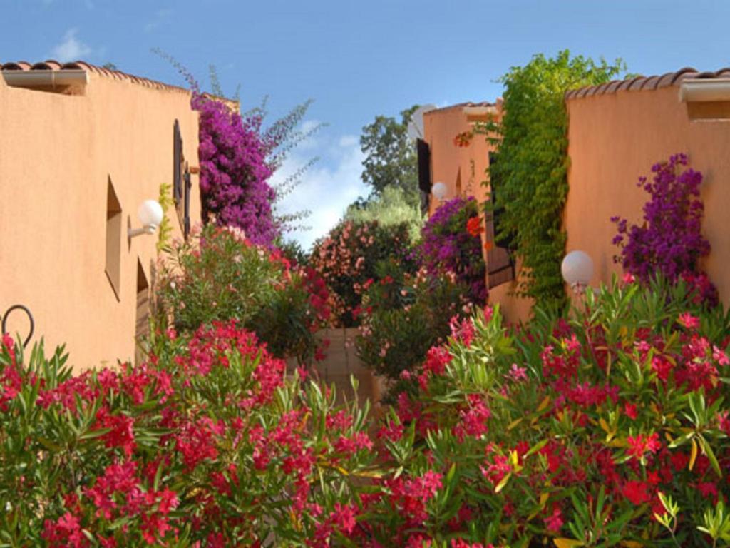 Residence Cabanaccia Serriera  Δωμάτιο φωτογραφία